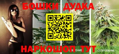ГАЛЛЮЦИНОГЕННЫЕ ГРИБЫ Усть-Джегута