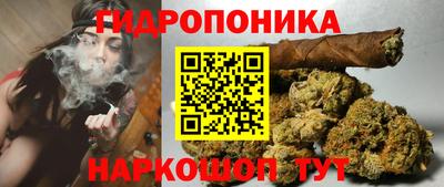 spice Усть-Илимск