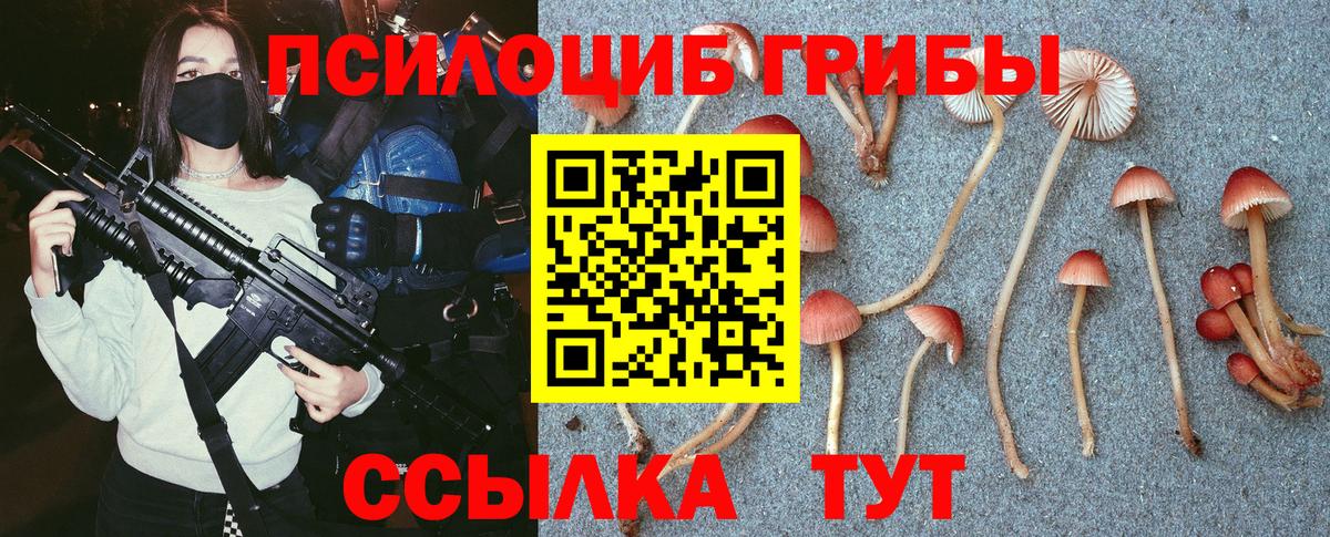 Бошки Шишки  ГАШ  COCAIN  Меф кристаллы  Как найти наркотики?  Майский  Вход с VPN 