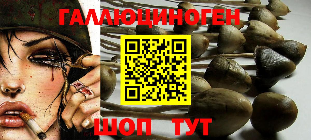 Галлюциногенные грибы Magic Shrooms  Вход с VPN  Майский 