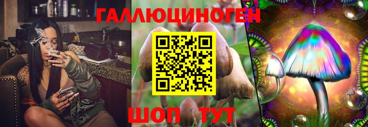 Псилоцибиновые грибы Magic Shrooms Майский